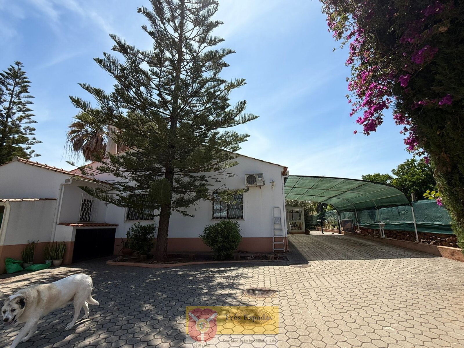 Zwei charmante Landhäuser bei Silves