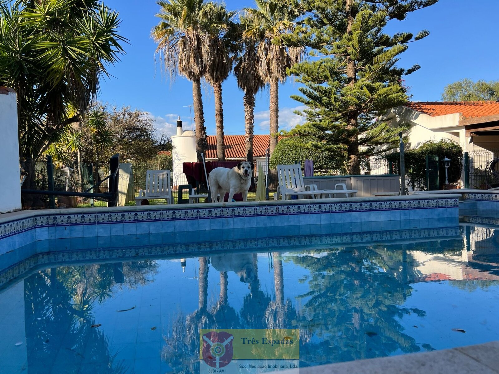 Zwei charmante Landhäuser bei Silves